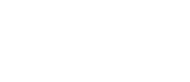 Logo Brissa Cardiologia Esteto